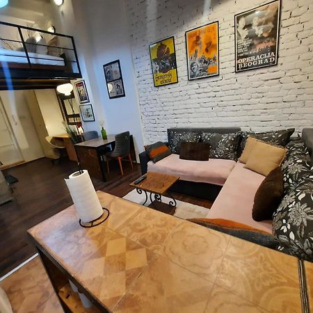 Апартаменты Authentic Belgrade Centre - Split Level Loft With Patio In Courtyard Экстерьер фото